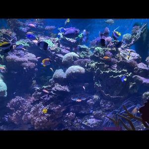 Meet your Posher, Melanie